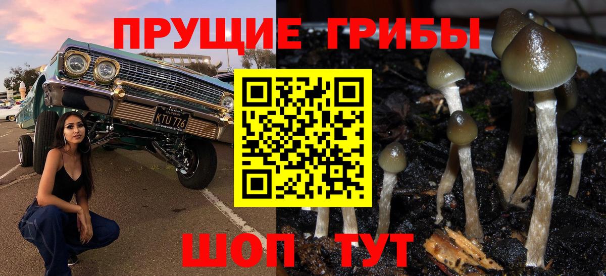 Псилоцибиновые грибы ЛСД Еманжелинск